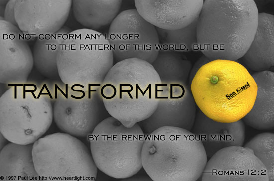 Renewed, Not Conformed